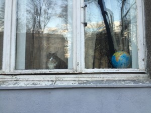 IMG_3889